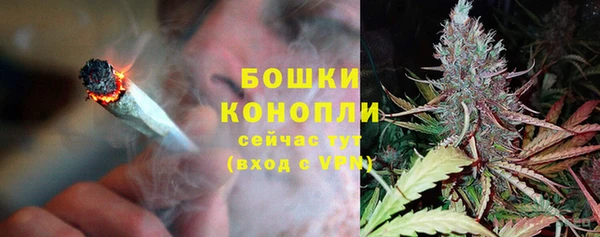 бошки Нея