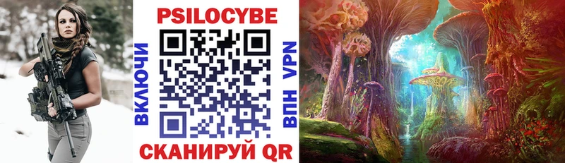 Псилоцибиновые грибы Psilocybe  Брюховецкая 